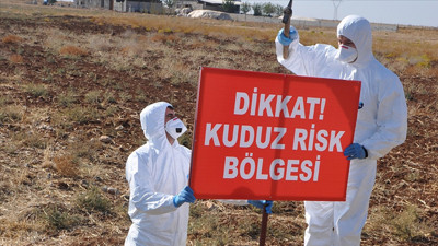 Kedide tespit edildi! Köy karantinaya alındı