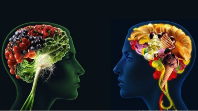 Erken yaşta hafıza kaybettirmeyen besinler hangileri