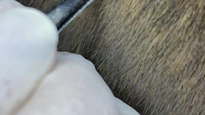 Kafasındaki tehlikeyi berber fark etti. Hayatı böyle kurtuldu