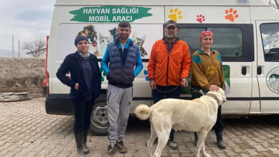 Kars’ta 21 köyde bin 500 kuduz aşısı yapıldı