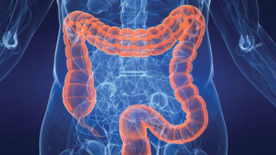 Bağırsak temizleyen mucize besinler