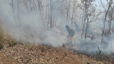 Osmaniye’de 1 dönümlük meşelik alan yandı
