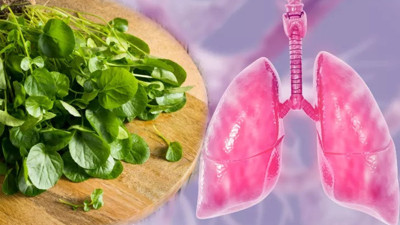 Akciğerleri pırıl pırıl yapıyor, nefes açıyor