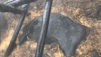 Diyarbakır'da ahır yangını