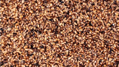 Vücudu baştan aşağı yeniliyor. Bir avucu bile şifa deposu