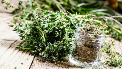 Enfeksiyonları öldürüyor. Tümör hücrelerine kılıç çekiyor. Adeta şifa saçıyor