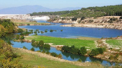 Aydın Karacasu’da icradan satılık tarım arazisi