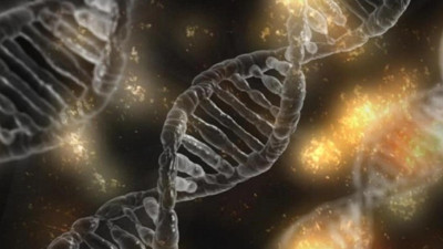 65 yıl önce cinayete kurban giden çocuğun kimliği DNA teknolojisi ile bulundu