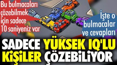 Sadece yüksek IQ'lu kişiler bu testleri çözebiliyor