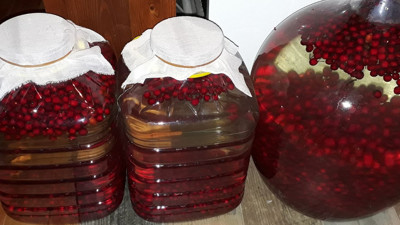 Bağışıklık sistemini çelik gibi yapıyor. Mutfağınızdan sakın eksik etmeyin