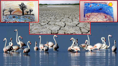 Van Gölü'ndeki kuraklığa resimle dikkat çektiler