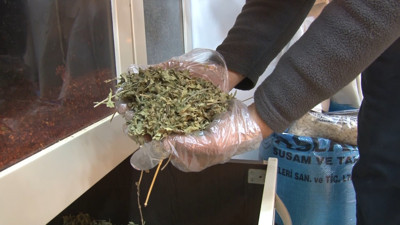 Düzce’deki depremin travmasını atlatamayan çareyi aktarlarda arıyor