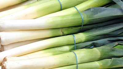 Her gün bir porsiyon yeterli…