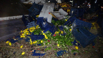 Meyve yüklü kamyon uçurumdan düştü