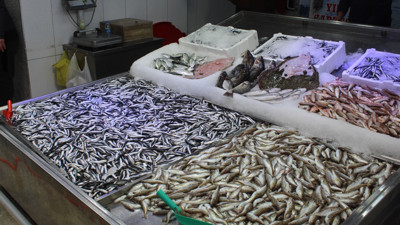 Soğuk hava balık fiyatlarını zıplattı. Vatandaş tezgaha ekmek banar oldu