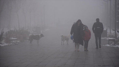 Doğu Anadolu'da kar ve sis etkili oluyor