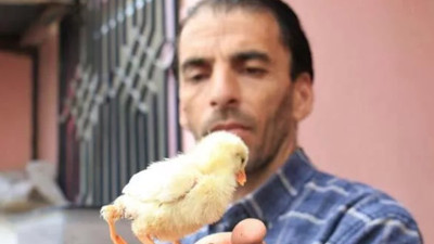 Gören bir daha bakıyor! Bu civcive 10 katı fiyat teklif edildi