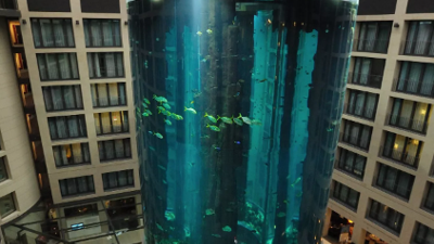 Dünyanın en büyük akvaryumu patladı. Ortalık savaş alanına döndü