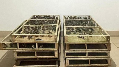 1000 saka ile yakalanan kişiye 1 milyon 200 bin lira ceza