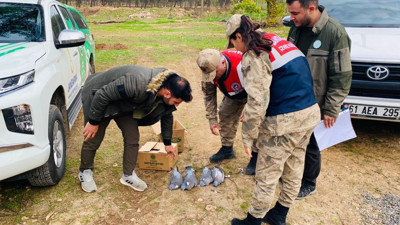 Şanlıurfa’da kaçak avlanan yarım ton balık ele geçirildi