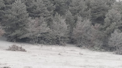 Sungurlu'da kartpostallık görüntüler