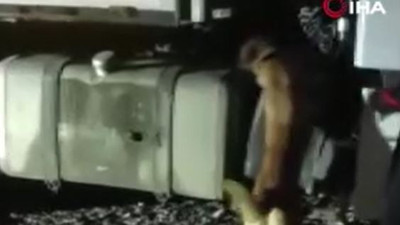 TIR'ın yedek yakıt deposunda bulundu. Tarta tarta bitiremediler