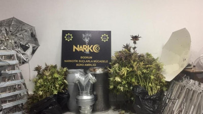 Evini kenevir bahçesine çevirmiş