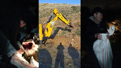 Sultangazi'den korkunç manzara. At keserken yakalandılar