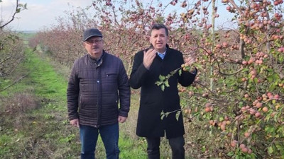 Meyve bahçeleri 3 yılda 5 kez yabancılara satılıyor