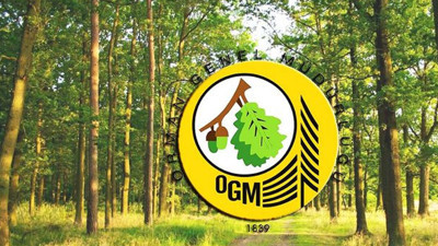 Orman Genel Müdürlüğü 249 sözleşmeli personel alacak