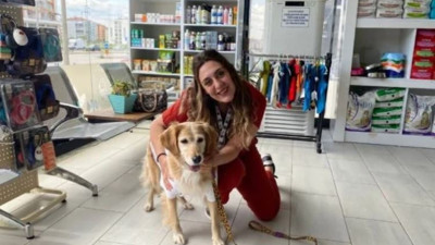 Evcil hayvan sahipleri için son günler! Mikroçip uygulaması nedir?