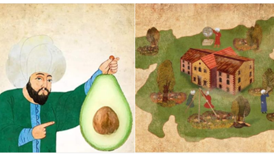 Osmanlı’da bir garip olaylar: Timsahla ağacın cimasından, İstanbul'da maymun katline