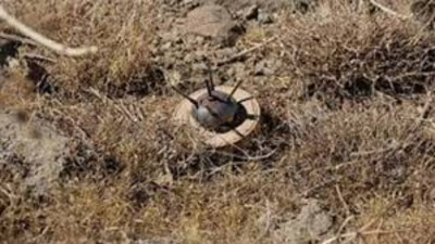 Burkina Faso’da yolcu otobüsü mayına çarptı 10 ölü, 5 yaralı