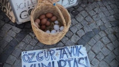 Aynı yumurtalar şimdi ne kadar biliyor musunuz? Her şey son 1 yılda oldu