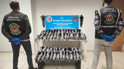 Gürcistan sınırında 500 çinçilla postu ele geçirildi