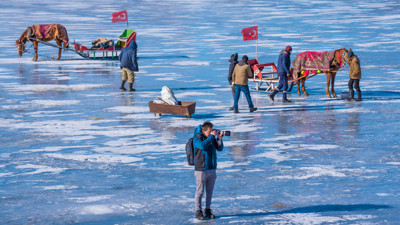 Çıldır Gölü'ndeki atlar soğuklara karşı üzerlerine örtülen halıyla korunuyor