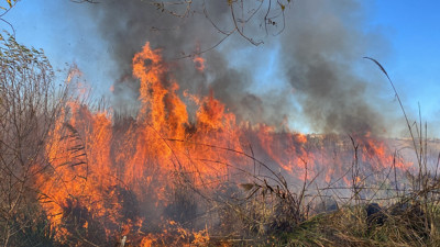 Antalya’da sazlık alanda yangın