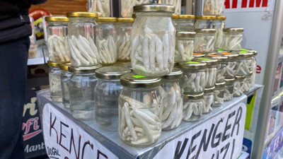 Bu sakızı çiğneyenin çenesi Pitbull çenesi kadar güçlü oluyor! Kilosu 2 bin 500 lira