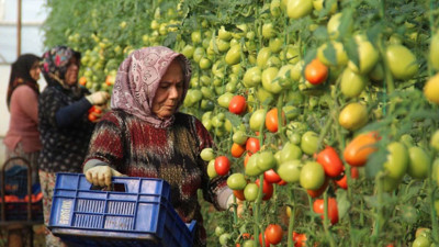 Son 7 yılın fiyat rekoru kırıldı