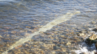 Sular 4 metre çekilince ortaya çıktı. Sahile gidenler fark etti