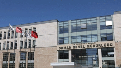 Orman Genel Müdürlüğü 1128 sözleşmeli personel alacak
