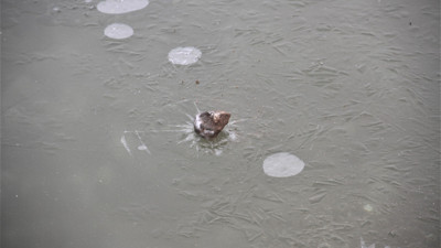 Elazığ’da soğuk hava etkili oldu