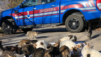 Kedi besleyen vatandaşa destek jandarmadan geldi