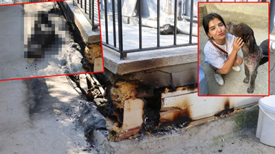 Böyle vahşet olmaz! Paşa'yı kulübesinde diri diri yaktılar