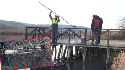 Riva Deresi siyaha döndü! Bakanlık inceleme başlattı