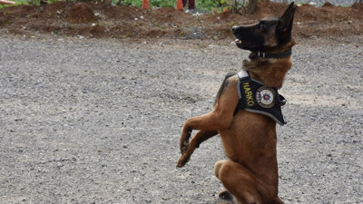 Hakkari'de dere yatağına gizlenmiş 56 kilogram uyuşturucu ele geçirildi