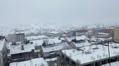 Hozat'ta kuduz karantinası