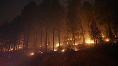 Kaz Dağları'nda örtü yangını