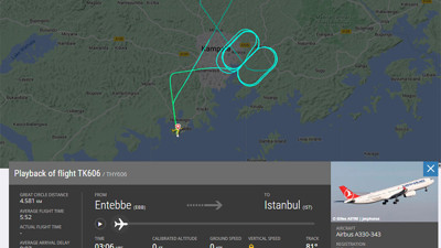 THY uçağı kuş sürüsüne girdi