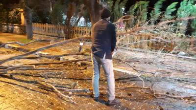 Denizli’yi fırtına vurdu: Ağaçlar devrildi, çatılar uçtu